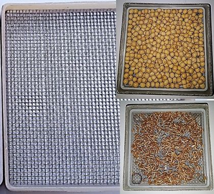 ADV Consultoria Agronômica - Tela de alumínio em Caixas Gerbox com Sementes de Soja e Trigo Acondicionadas para o Envelhecimento Acelerado