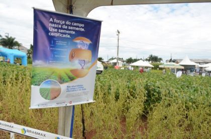 ADV Sementes Renovação Perdas com a pirataria de sementes chegam a 146 milhões de Reais ao ano, alerta APROSESC. O cultivo de soja está crescendo em Santa Catarina. A área cultivada com o grão cresceu de 640 mil...